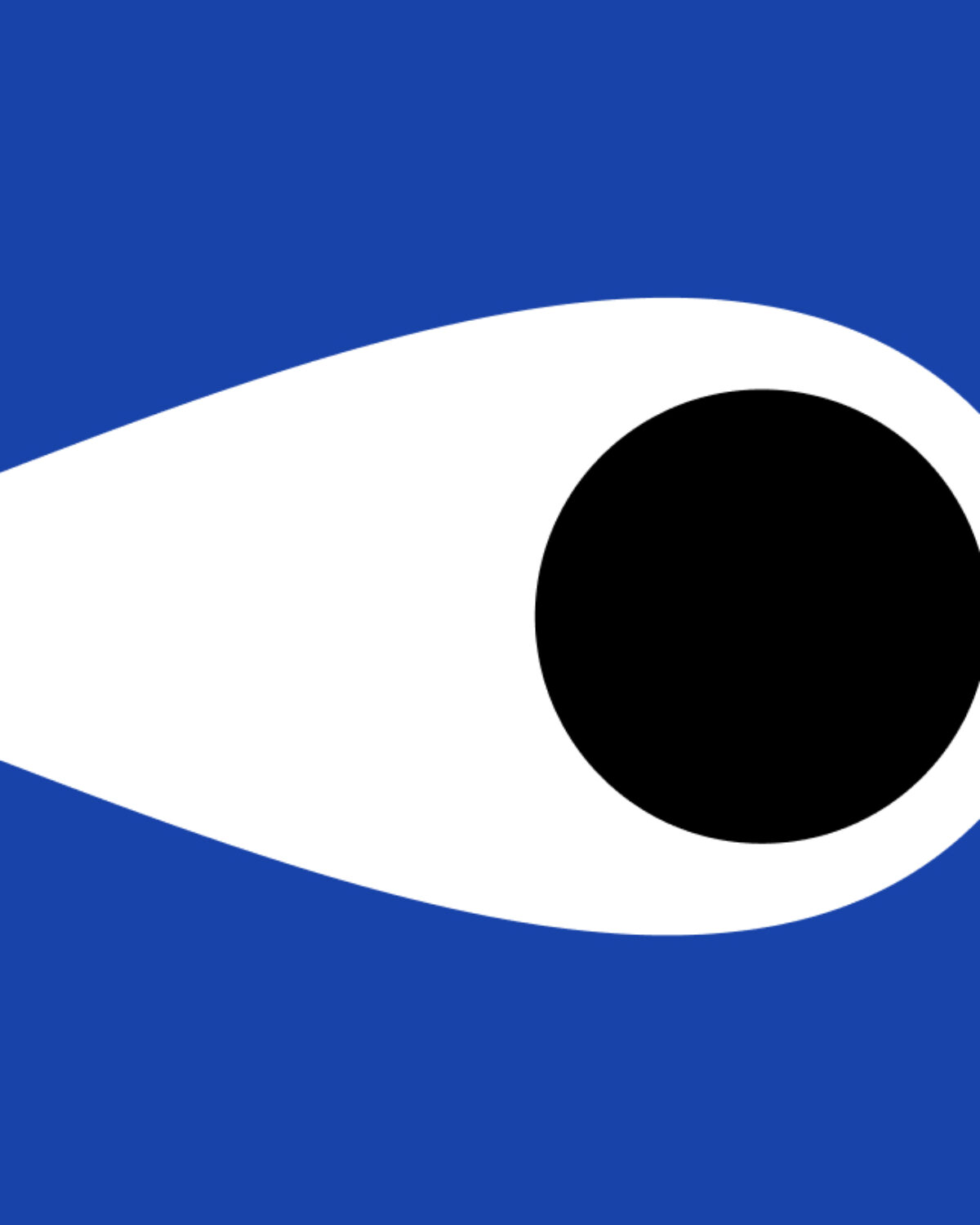 An Essay on Functional Aesthetic Design